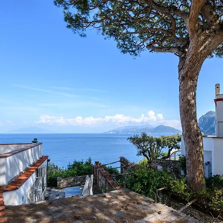 Il Quadrifoglio - Sea View Terrace 卡普里