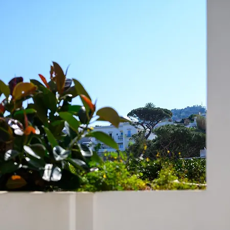 公寓 Il Quadrifoglio - Sea View Terrace